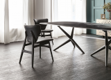 Cattelan Italia Dumbo Dining Chair