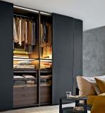 Molteni Gliss Master Blade Sliding Door Wardrobe