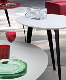 Lema Flowers Coffee/Side Table