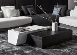 Bonaldo Litos Coffee Table