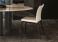 Cattelan Italia Arcadia Couture Dining Chair