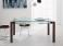 Tonelli Livingstone Dining Table